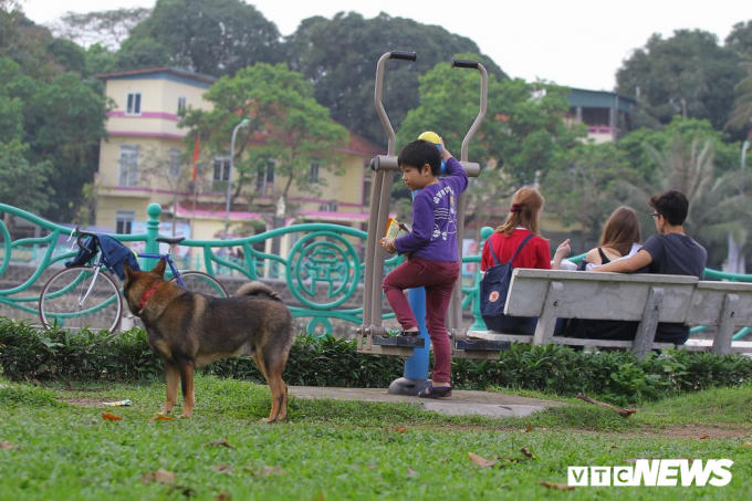 Một em bé tỏ ra đề phòng trước một con chó ngay sát mình.