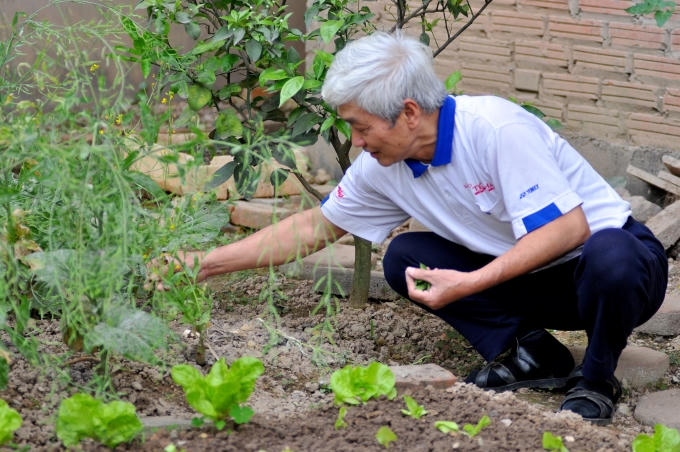 &Ocirc;ng Đệ cho hay, gia đ&igrave;nh đ&atilde; trồng rau ở đ&acirc;y được 4 năm, nhờ đ&oacute; h&agrave;ng ng&agrave;y kh&ocirc;ng phải đi chợ mua rau ăn.