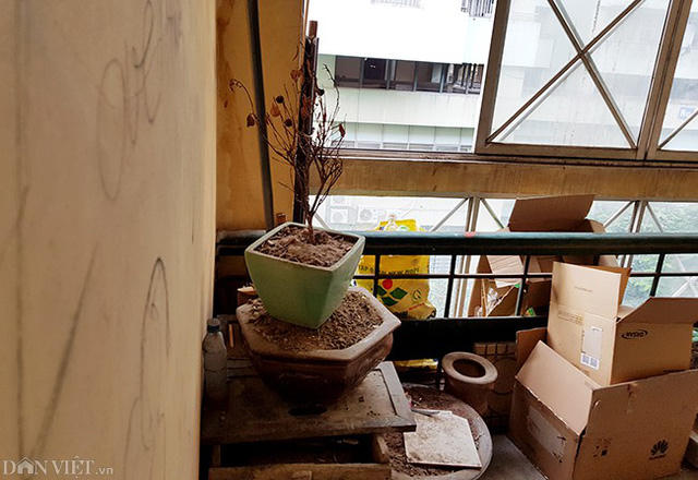 Đồ đạc, chậu cảnh vứt chỏng chơ tại các lối đi lại.