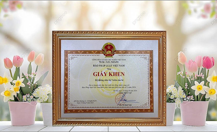 Giấy khen tuyên dương Hệ thống siêu thị Vườn của bé