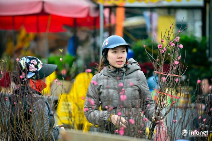 Người dân tìm đến chợ hoa Quảng Bá để chọn mua đào chơi Tết sớm.