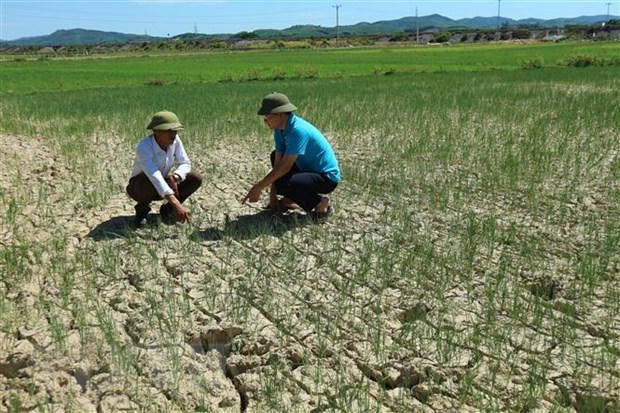 Bắc Bộ và Trung Bộ đón đợt nắng nóng trên diện rộng