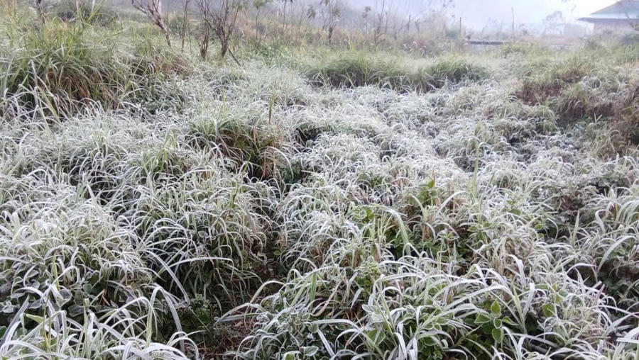 Băng giá xuất hiện rạng sáng 13/1 - Ảnh CTV.