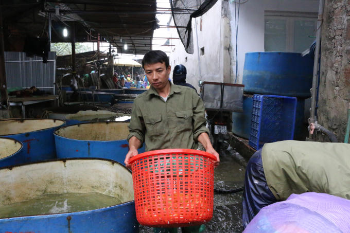 Chính vì vậy, vào dịp này hằng năm, mọi gia đình lại thành kính sắm sửa lễ vật để tiễn ông Công, ông Táo chầu trời, trong số đó không thể thiếu “phương tiện” để các ông di chuyển đó là cá chép vàng.