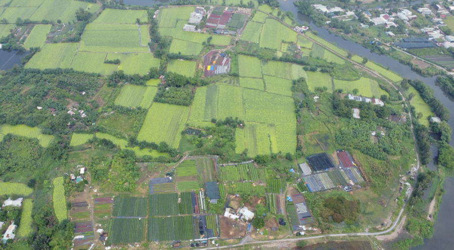 Toàn cảnh làng hoa.