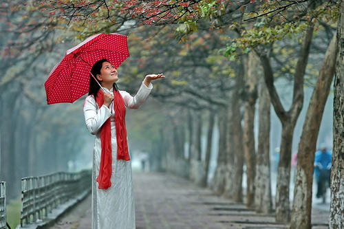 Ảnh minh họa nguồn báo Giáo dục.