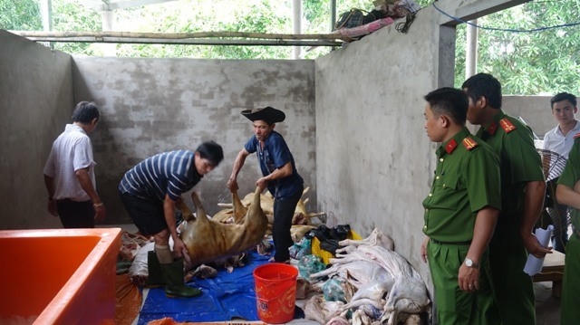 Lượng lớn thịt dê hôi thối, biến đổi màu được phát hiện. Ảnh M.A.
