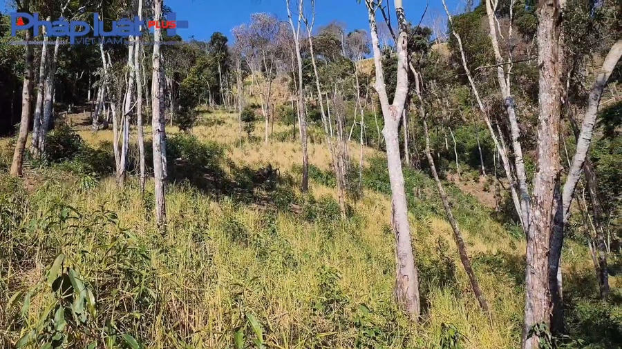 z3855799604327_a20ca9f4f1d82184c814ca071db07da6