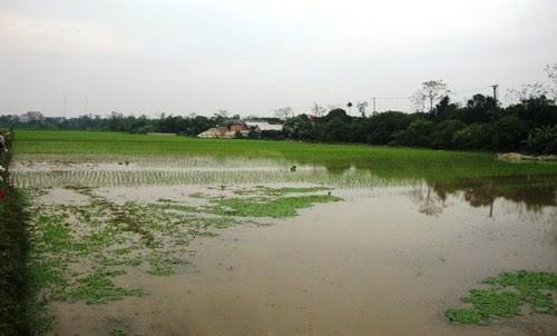 Ảnh minh họa.