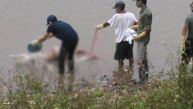 Thi thể cô gái đã được người dân kéo vào bờ.