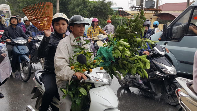 Ai cũng lựa chọn cho mình một giống cây trồng, chậu cây cảnh hoặc một món đồ nào đó để hy vọng có được sự may mắn.