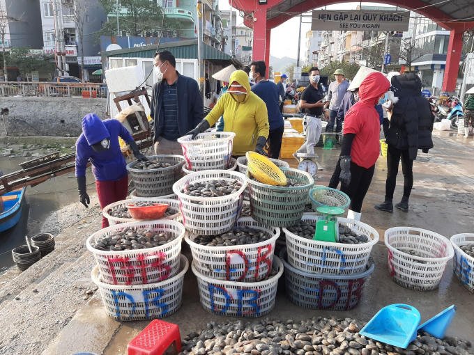 153286107_246074740391369_8589442529923368073_n