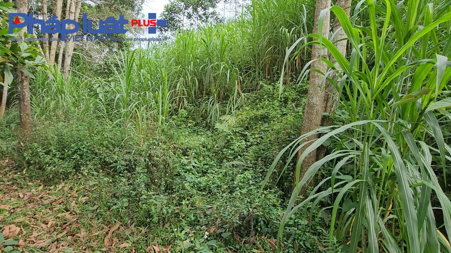 z3934625361577_427ef32f4637c58dc3259ccb271e5a48