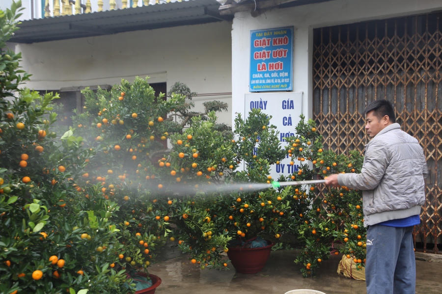 10 ngày sau vụ Đồng Tâm, cuộc sống thôn Hoành bây giờ ra sao? - 8