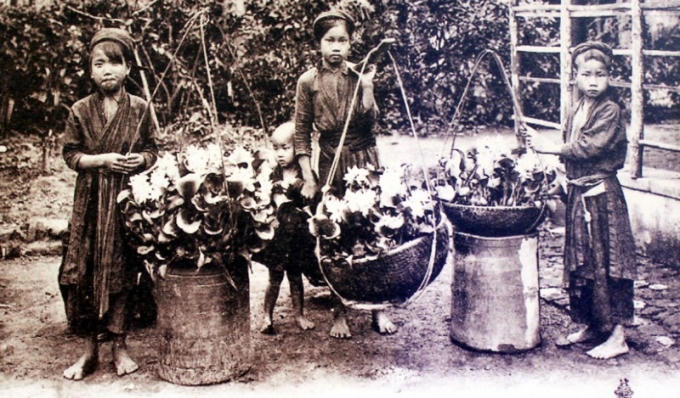 Các cô gái đi bán hoa bèo Bản (Nhật Bản)