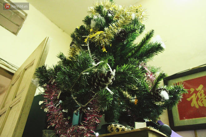 Cây thông Noel do chính tay An trang trí.