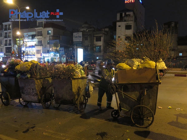 Các xe rác của công nhân môi trường vốn đã đầy ăm ắp nay lại phải làm thêm nhiệm vụ chuyên chở cây đào, quất bỏ đi.