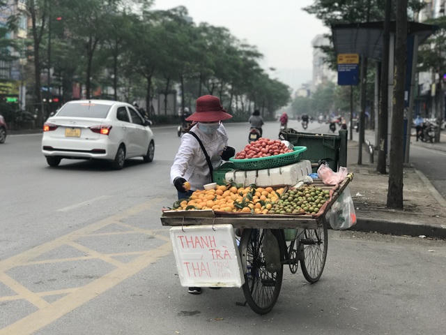 Thanh trà được bày bán nhiều trên các tuyến đường ở Hà Nội như Phạm Ngọc Thạch, Xã Đàn, Đê La Thành...