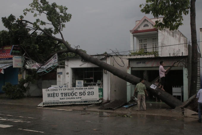 Cây xanh đè lên nhà dân do giông lốc.