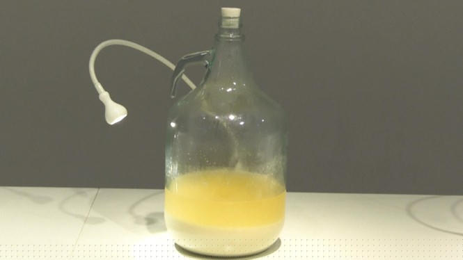 Rùng mình với những thức uống làm từ phân người, ủ trong bồn cầu ở Thuỵ Điển - ảnh 2