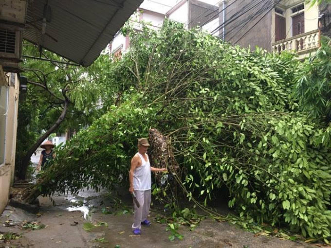 Người dân TP Hà Tĩnh ra dọn dẹp, chặt cây đổ chắn ngang đường.