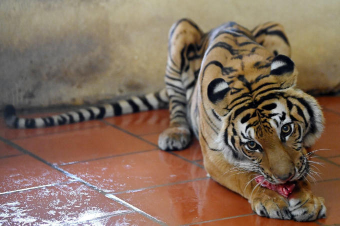 2158f0376d75842bdd64