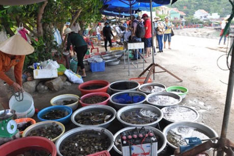 Ngoài việc giá hải sản rẻ, điểm thú vị hút khách nhất ở đây là khi mua hải sản xong thực khách có thể tự tay chế biến các món nướng ngay tại bãi biển.