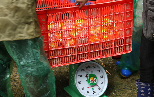 Chợ Yên Sở hoạt động tấp nập nhất là từ 3 - 4h sáng. Từ đêm tới sáng, hàng chục xe tải chở cá chép từ các tỉnh đổ về, hoạt động mua bán sôi động đến tận trưa.