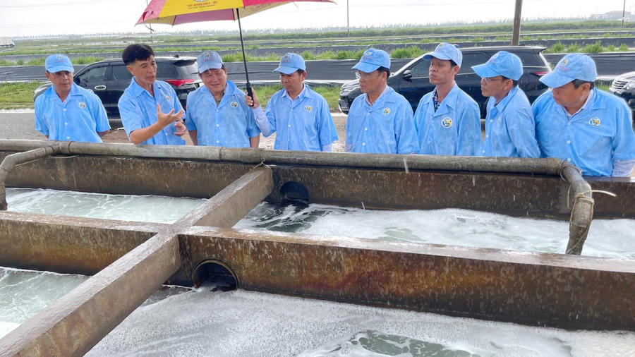 Ông Lê Văn Sử – Phó Chủ tịch UBND tỉnh Cà Mau (thứ ba, từ trái sang), tham quan khu nuôi tôm của Công ty Cổ phần Việt Úc Nhà Mát.