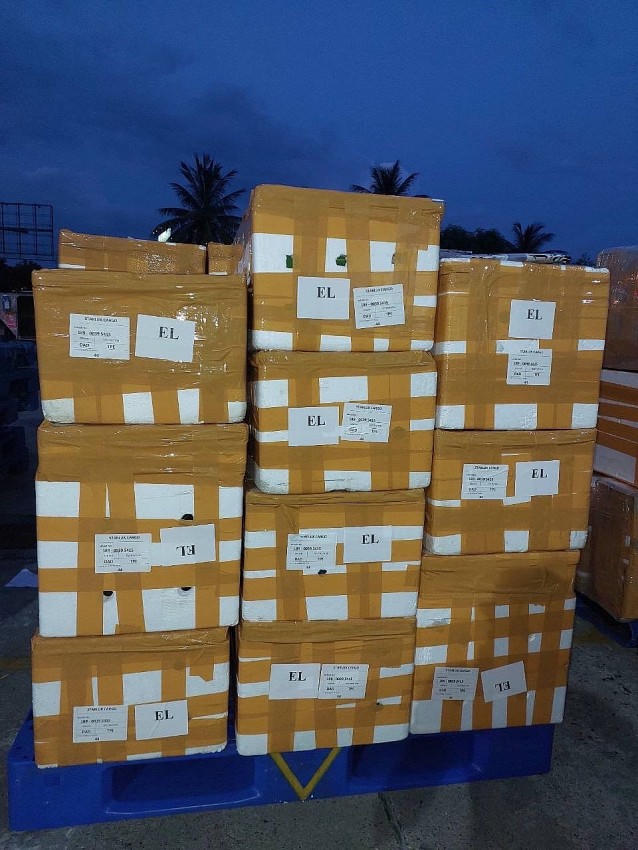 Hàng đã được vận chuyển vào sân bay Đà Nẵng.
								
							
						
						
					
				
			
			
						
							
								
									
								
								
									Hàng đã được vận chuyển vào sân bay Đà Nẵng.
								
							
						
						Hàng đã được vận chuyển vào sân bay Đà Nẵng.