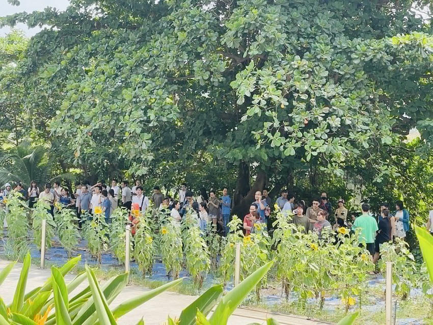 Một số chung cư trên đường Nguyễn Xí (Q.Bình Thạnh) cảm nhận rõ tòa nhà rung lắc mạnh. Ảnh: Bùi Yên.