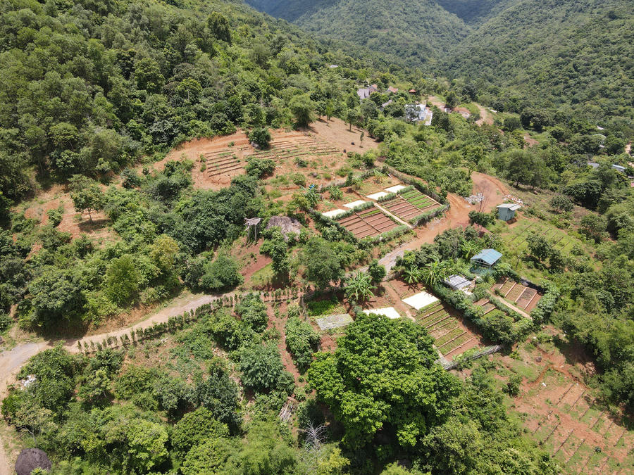 Cảnh báo rủi ro cho khách hàng mua "bánh vẽ" bất động sản farmstay - Ảnh 4.
