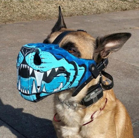 Nh&igrave;n ảnh mắt ấy c&oacute; phải em đang cười?