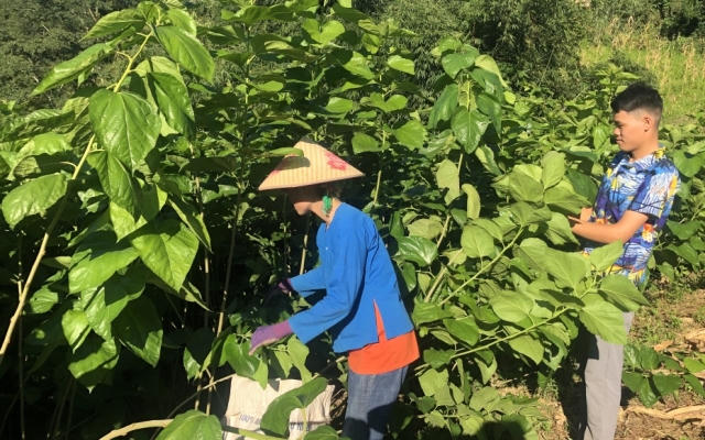 Huyện Bảo Lạc chi hơn 5 tỷ đồng hỗ trợ hộ nghèo