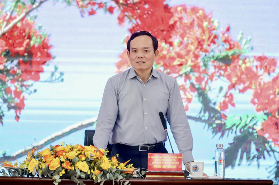 Phó Thủ tướng Chính phủ Trần Lưu Quang, Trưởng Ban Chỉ đạo 389 Quốc gia chủ trì và phát biểu kết luận buổi làm việc.