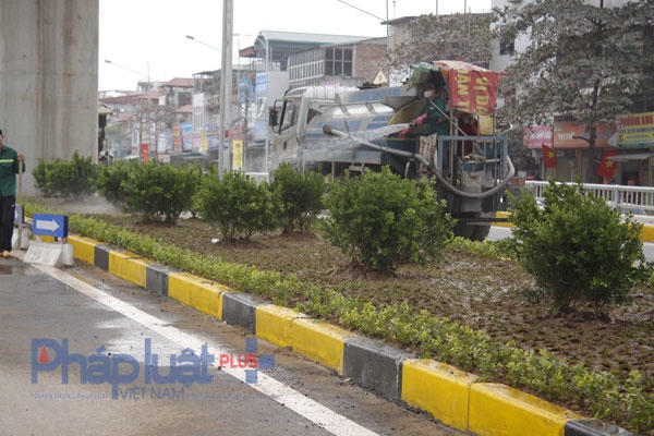 Hệ thống cây xanh đang dần hoàn thiện trên giải phân cách giữa hai bên đường. Ảnh: Như Trường.