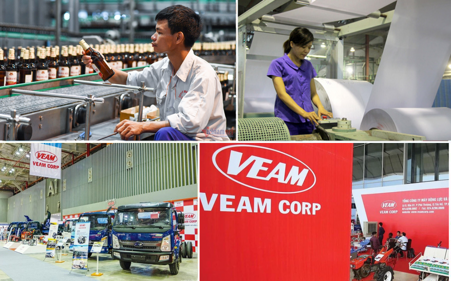Ảnh minh họa. Nguồn VEAM