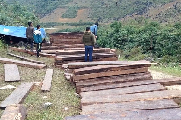Điểm tập kết gỗ của Công ty Phương Đạt. Ảnh: Báo Giao thông.