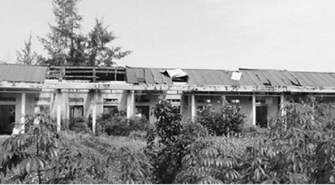 KTĐC hơn 11 tỷ hoang tàn, cỏ mọc um tùm.