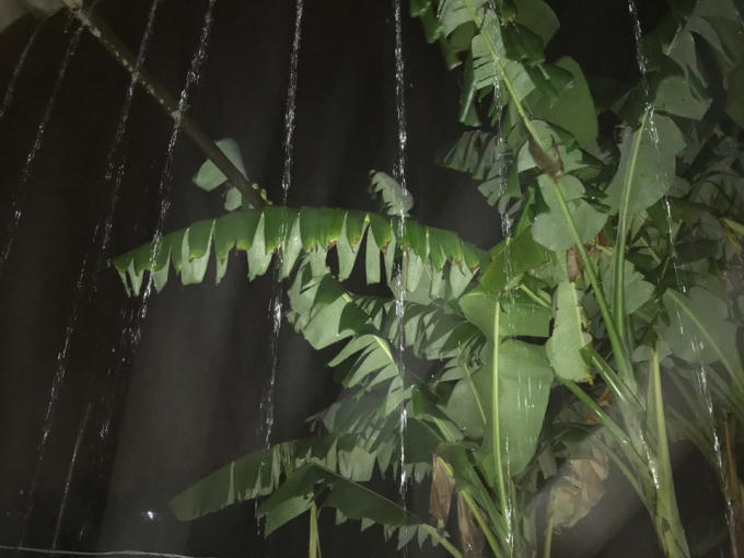 Mưa lớn vẫn đang tiếp diễn trên địa bàn Nghệ An.