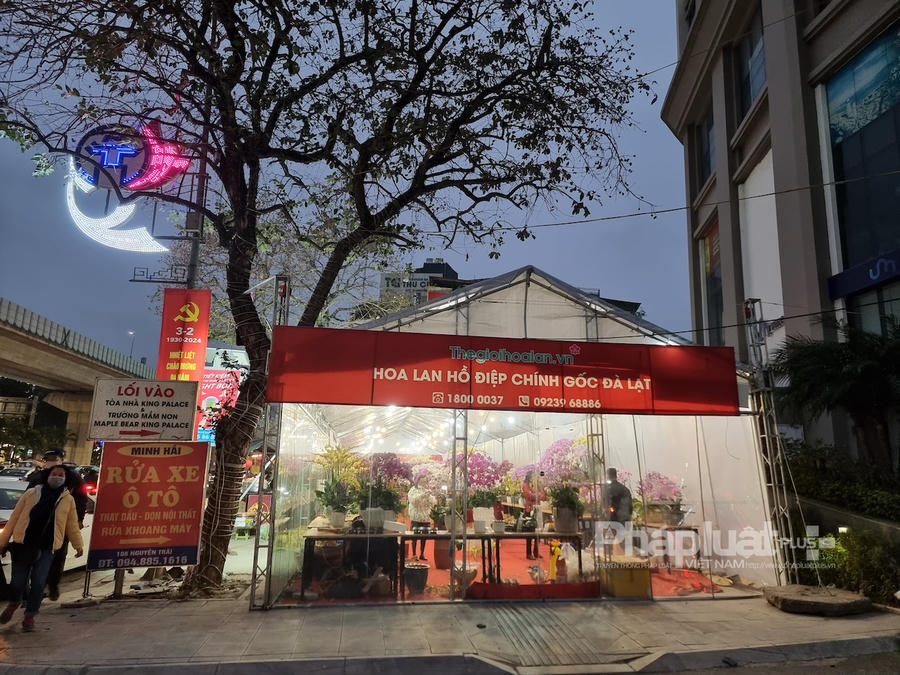 hieuunganh.com_65b64ba14de02