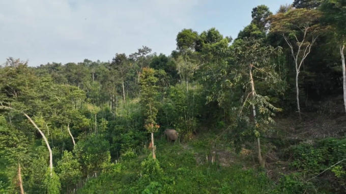 312626931_496359889044977_1350276892766787073_n