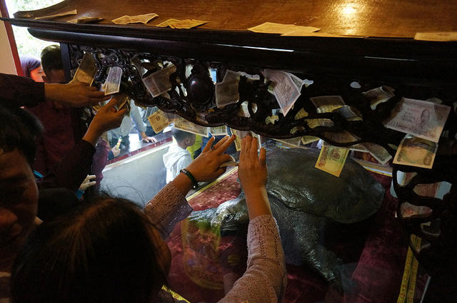 Dù ban quản lý di tích đền Ngọc Sơn đã liên tục nhắc nhở người dân hạn chế việc đặt tiền vào các ban thờ, khu trưng bày hiện vật song tình trạng này vẫn xảy ra khá phổ biến. Trong ảnh là cảnh người dân thi nhau đặt tiền phía trên tiêu bản cụ Rùa Hồ Gươm để cầu may mắn.