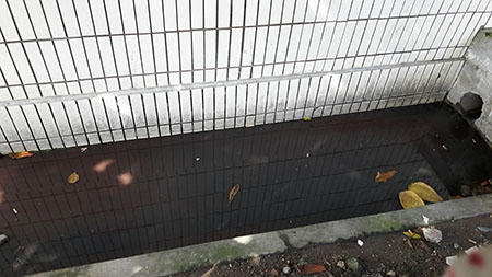 500m3 nước thải y tế từ Bệnh viện Đa khoa và Bệnh viện Phụ sản tỉnh Hải Dương chưa qua xử lý được tuồn đi khắp nơi