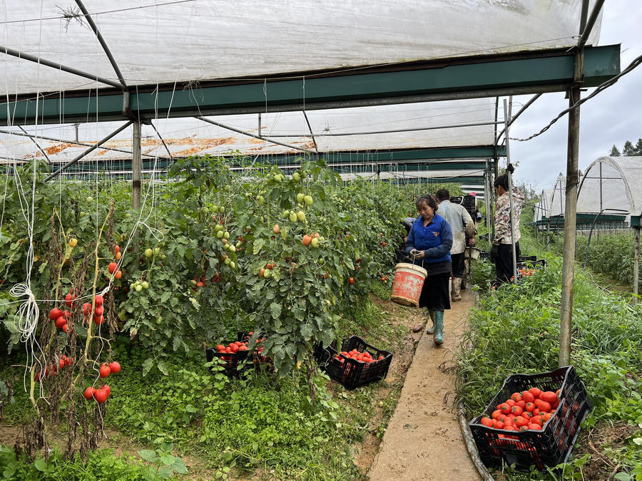 z4696541678807_9b4d1807193fd5e005efb8f20f46c7a3