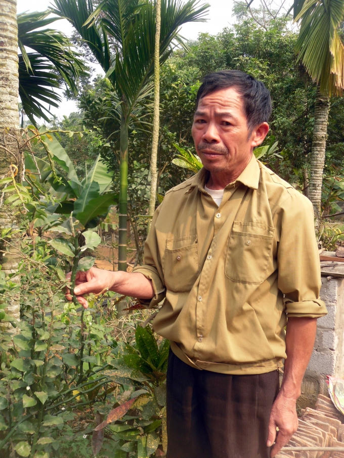 Chân dung vị “thần y” Bùi Văn Đặng chữa độc rắn bằng khí công.