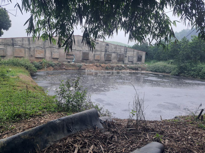 7828f9ff-6697-45a6-9429-54f721d3cbd7