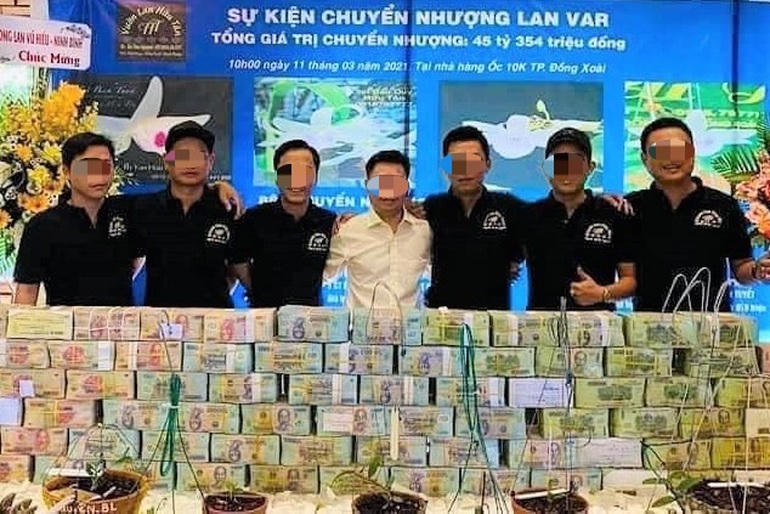 Những cuộc giao dịch mua bán lan đột biến gây choáng, tiền chất cao như núi, khách không ngại bỏ ra trăm tỷ đồng để sở hữu cây lan bé tí tẹo (Ảnh: Internet).