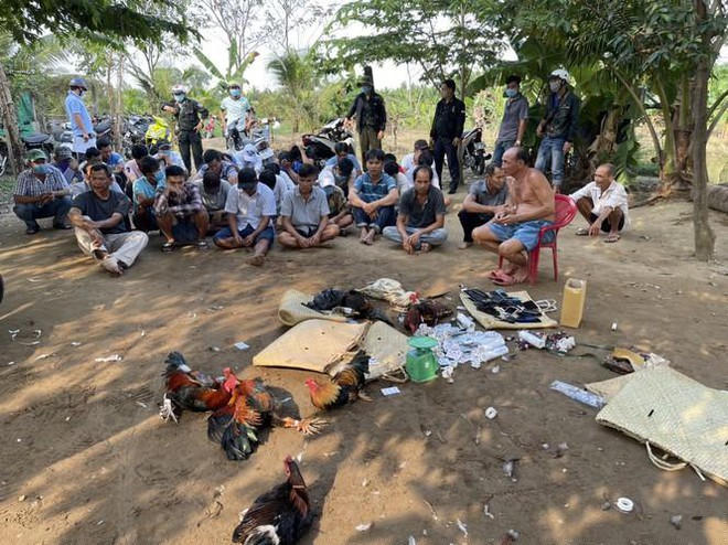 Nh&oacute;m người tham gia đ&aacute; g&agrave; ở huyện Ch&acirc;u Th&agrave;nh, bị cảnh s&aacute;t bắt quả tang