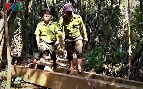 Lực lượng kiểm lâm lập biên bản thu giữ tang vật.